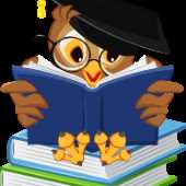 Dailypost Dailypost528